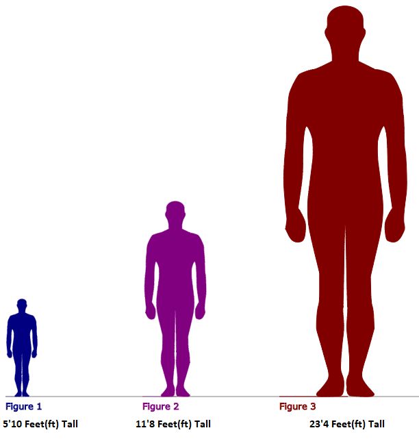 1/3 vs 1/4: Quick Fraction Comparison Guide