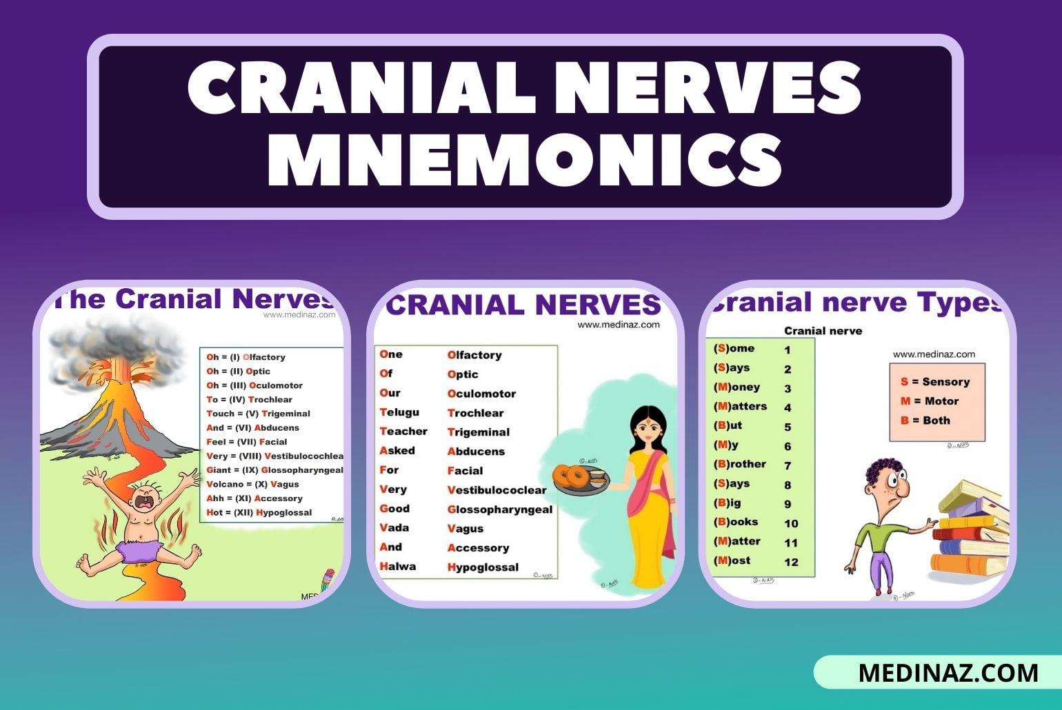 Master the 12 Cranial Nerves with This Easy Mnemonic