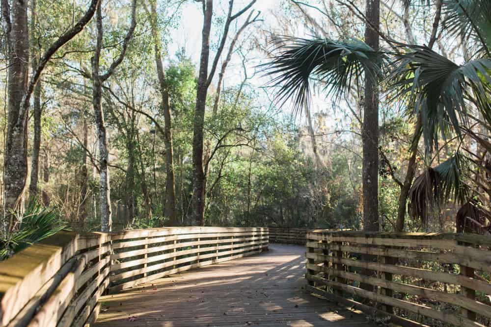 21 Fun Things To Do In Gainesville Florida Gainesville Florida 21 Fun Things To Do In Gainesville Florida Gainesville Florida