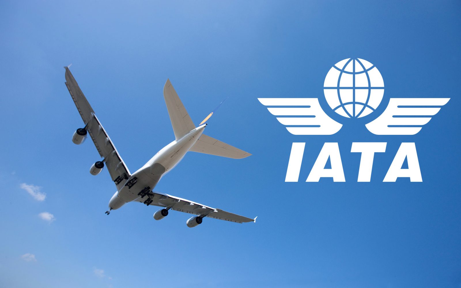Air Transport International Airlinepilotcentral Com Air Transport International Airlinepilotcentral Com