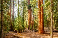 All The Airports Near Sequoia National Park 2025