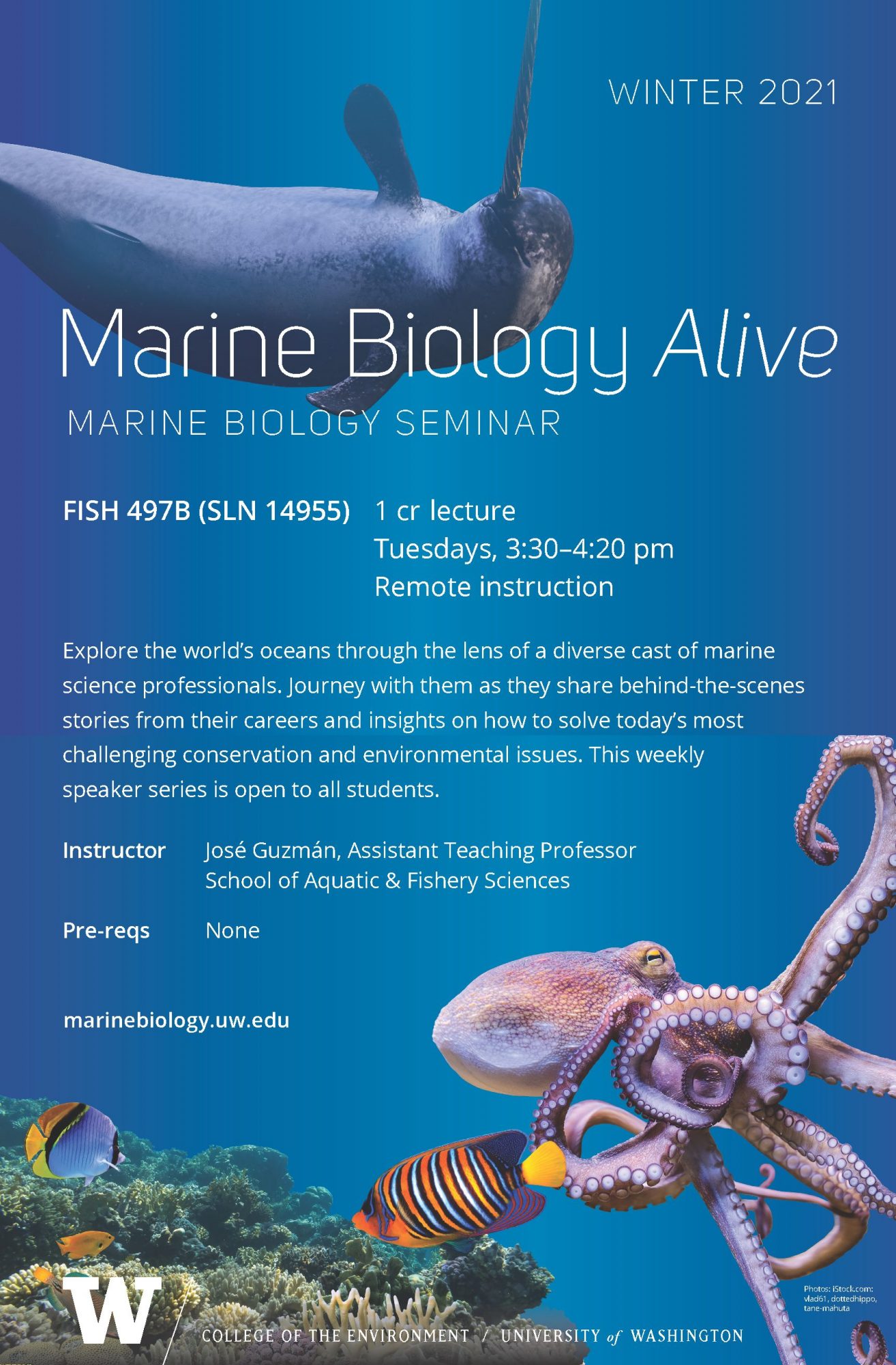 Exploring Marine Biology Careers: Dive into Opportunities