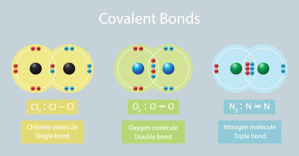 Covalent Bond Definition Types And Examples Covalent Bond Definition Types And Examples
