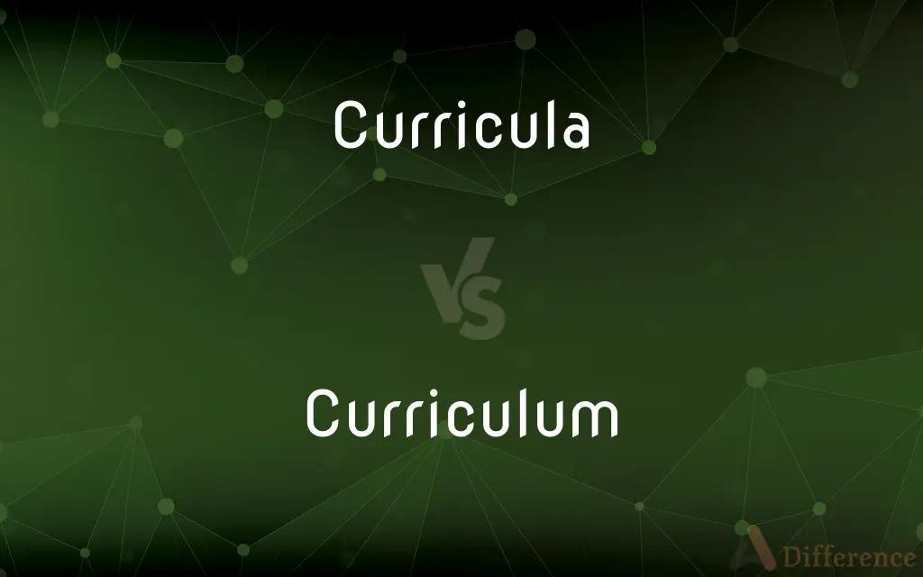 Curricula Vs Curriculum What S The Difference Main Difference Curricula Vs Curriculum What S The Difference Main Difference