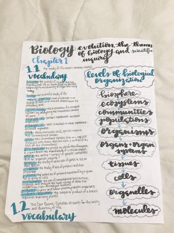 Ecology Ap Biology Study Guide Ecology Ap Biology Study Guide