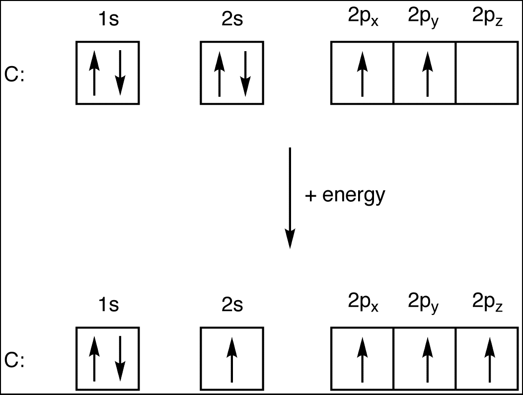 Carbon Atom Electron Configuration: A Simple Guide