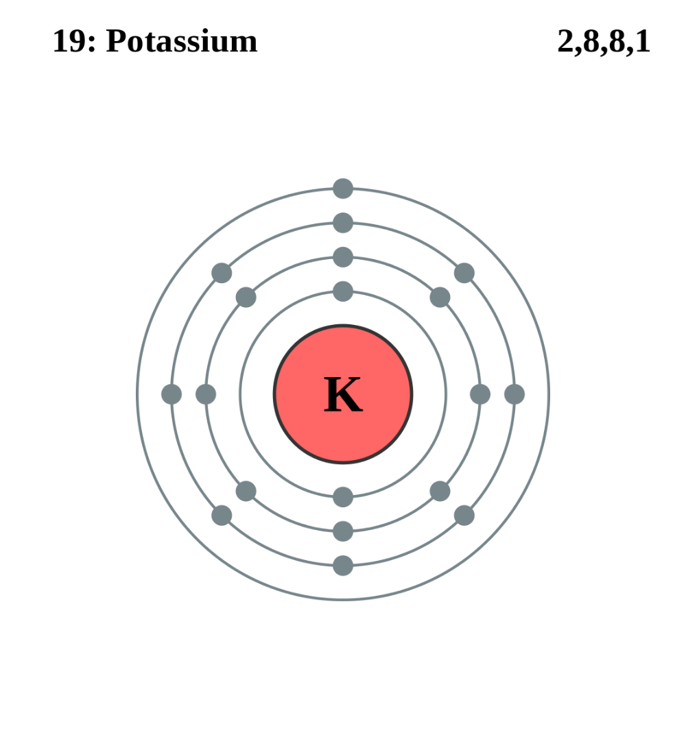 Electron Configuration Of Potassium Ion Diy Sarahsoriano Electron Configuration Of Potassium Ion Diy Sarahsoriano