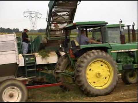 Top Equipment Operator Jobs: Find Your Next Career Move