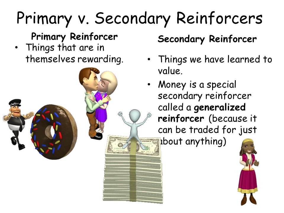 Examples of Secondary Reinforcers in Everyday Life