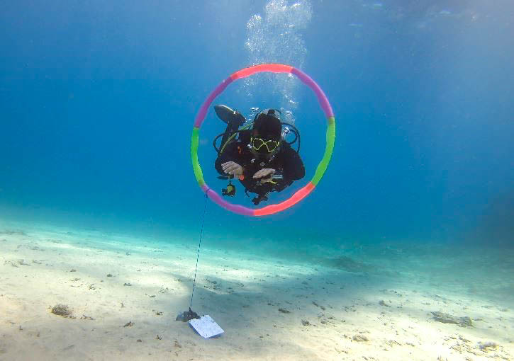 Good Buoyancy During Scuba Diving Alpha World Diving Good Buoyancy During Scuba Diving Alpha World Diving