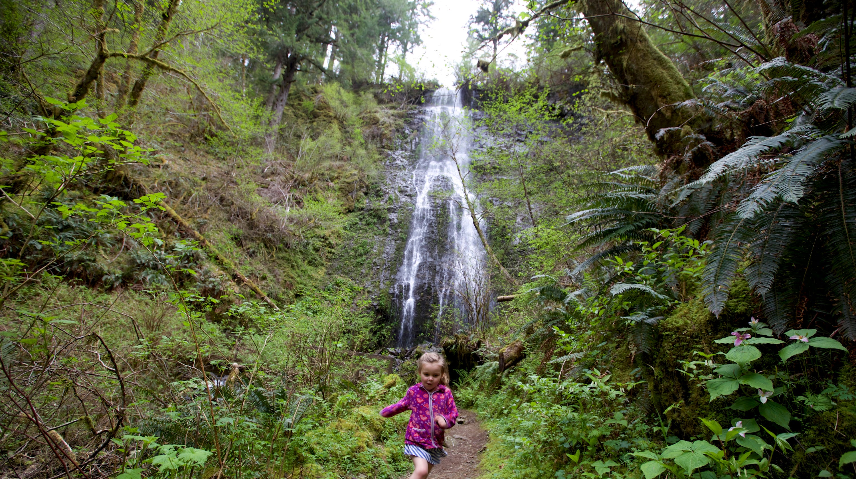 Top Hiking Trails Near Salem, MA: Explore Nature's Beauty