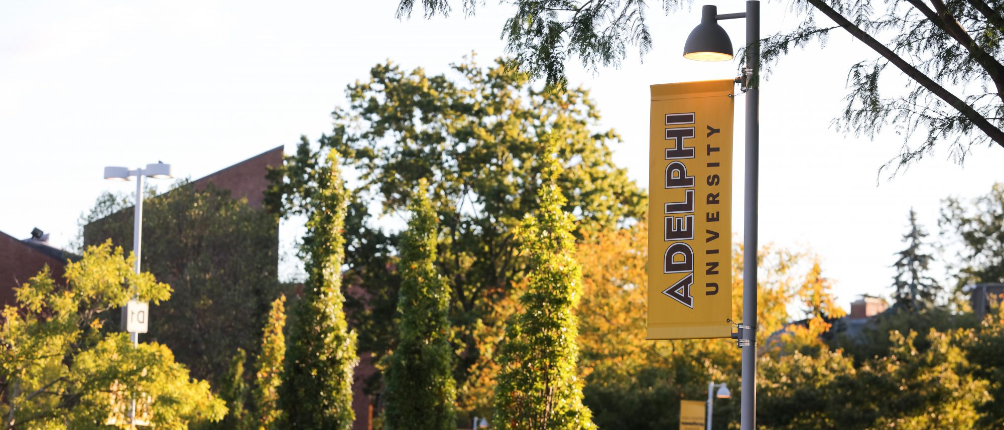 Human Resources At Adelphi University Adelphi Hr Human Resources At Adelphi University Adelphi Hr