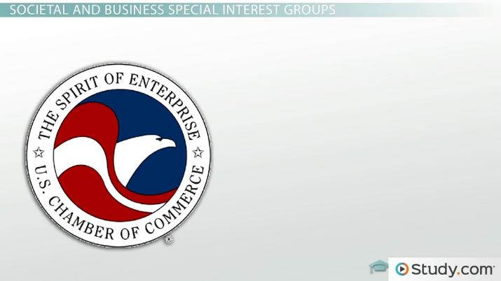 What Are Interest Groups? Definition & Impact Explained What Are Interest Groups? Definition & Impact Explained