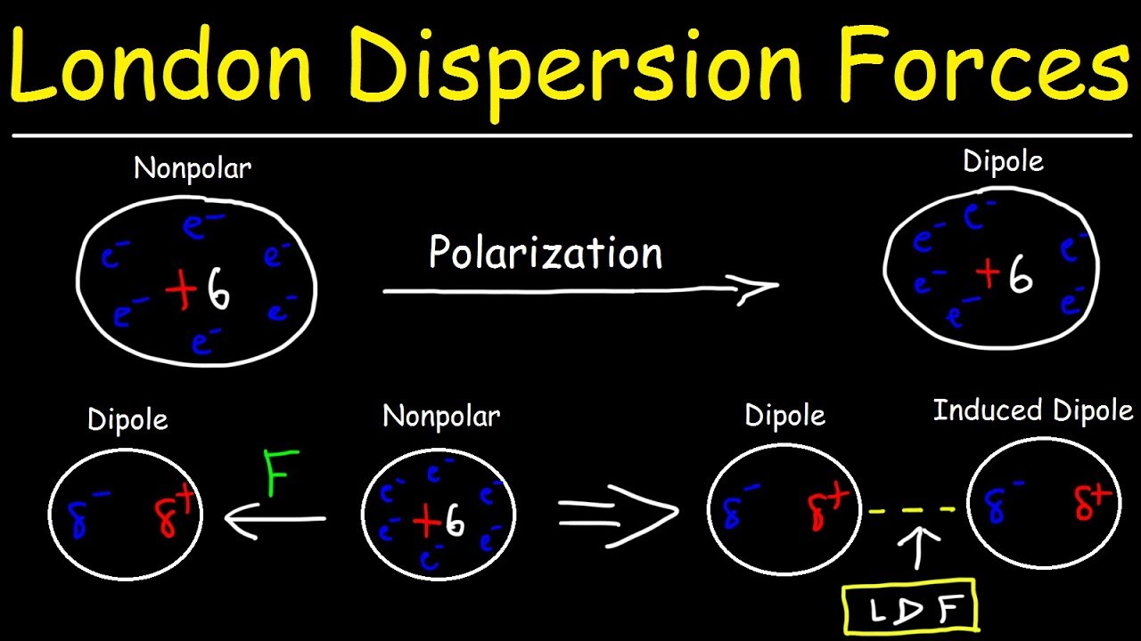 Intermolecular Forces Examples