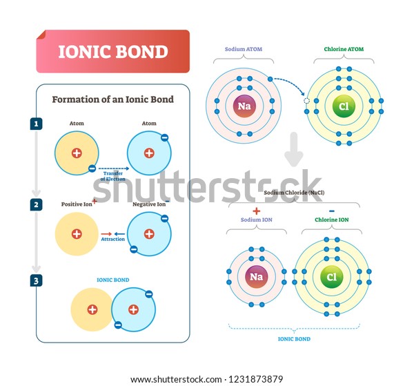 Ionic Bond Vector Illustration Infographic Diagram Io Vrogue Co Ionic Bond Vector Illustration Infographic Diagram Io Vrogue Co