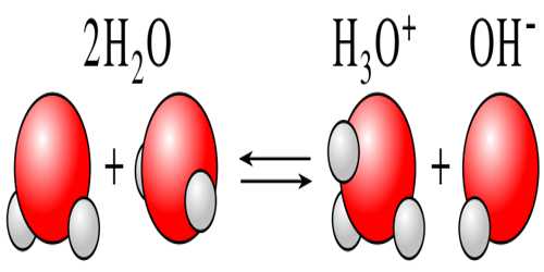Ionization Of Water Nature Of Water Detailed Explanation Of Self Ionization Of Water Nature Of Water Detailed Explanation Of Self