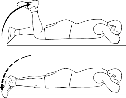 Knee Flexion Exercises And Conditions Total Transformation Knee Flexion Exercises And Conditions Total Transformation