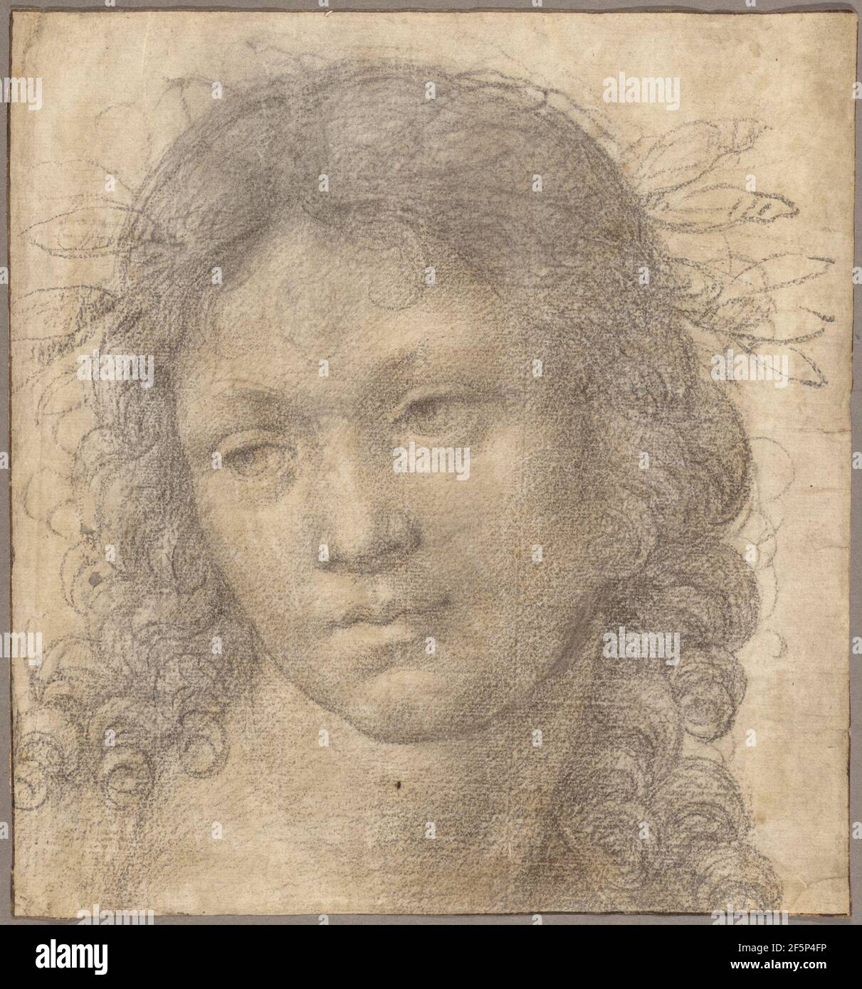 Lorenzo Di Credi Italian Artist 1456 1536 Young Woman From It S Lorenzo Di Credi Italian Artist 1456 1536 Young Woman From It S