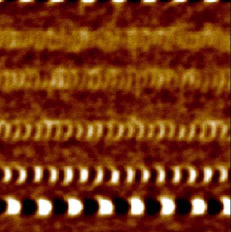 Unveiling Nanoscale Secrets: Magnetic Force Microscopy Explained