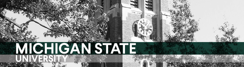 Michigan State University Tuition Fees Net Price