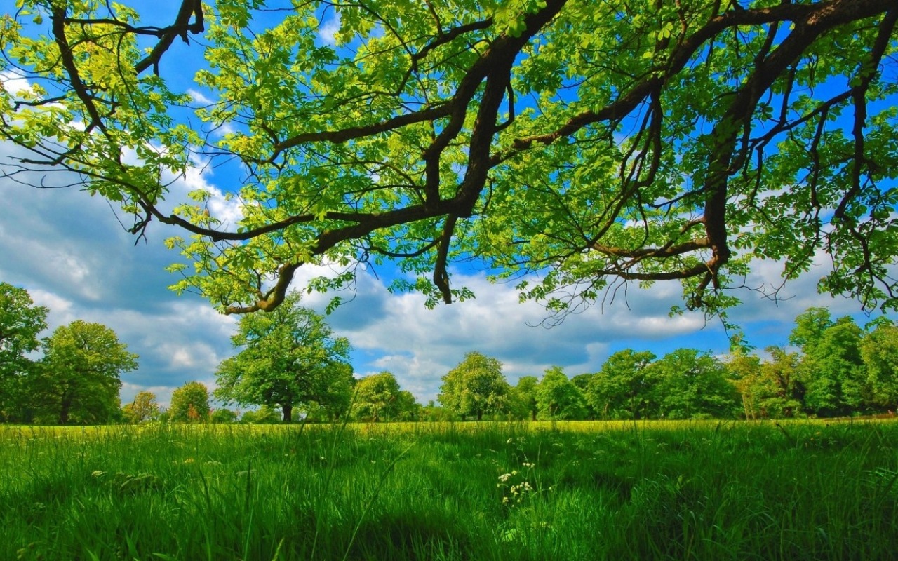Nexus Desktop Backgrounds: Top Picks for 2023  
Stunning Nexus Wallpapers to Refresh Your Desktop  
Best Nexus Desktop Backgrounds for Creative Spaces  
Free Nexus Wallpapers: Download Now for Your PC  
Nexus Desktop Themes: Elevate Your Screen Style