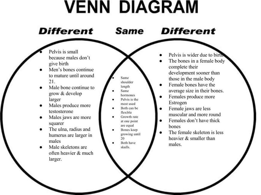 Open And Closed System Energy Venn Diagram An Open Versus Cl Open And Closed System Energy Venn Diagram An Open Versus Cl