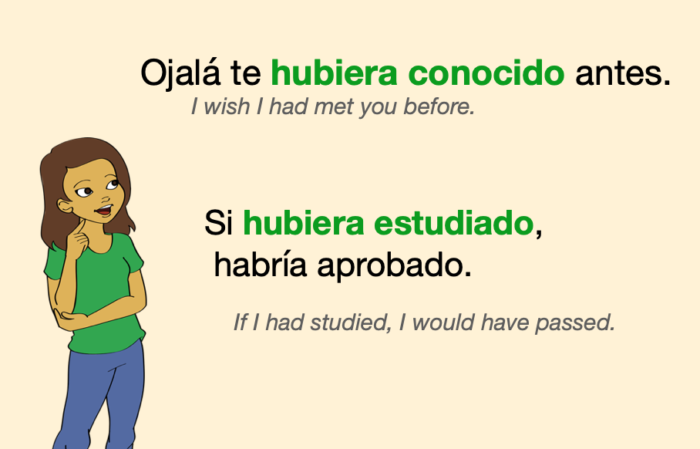 Past Perfect Subjunctive Spanish Guide Conjugations Uses Past Perfect Subjunctive Spanish Guide Conjugations Uses