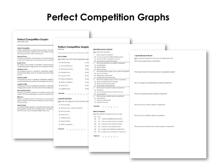 Perfect Competition Graphs Explained: Key Concepts & Analysis