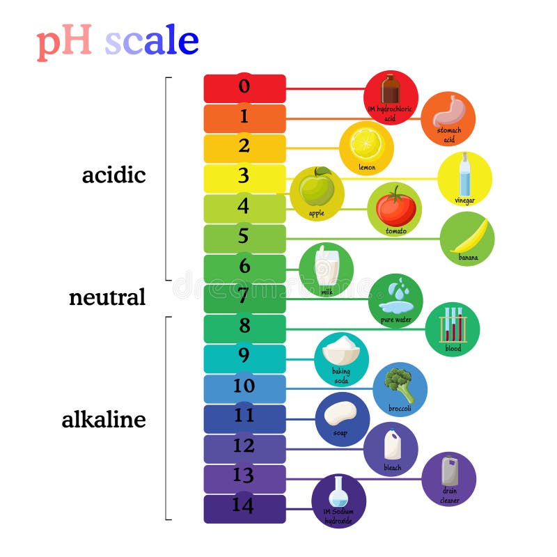 Ph Scale Diagram With Corresponding Acidic Or Alkaline Values For
