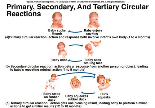 Understanding Piaget's Secondary Circular Reactions in Child Development
