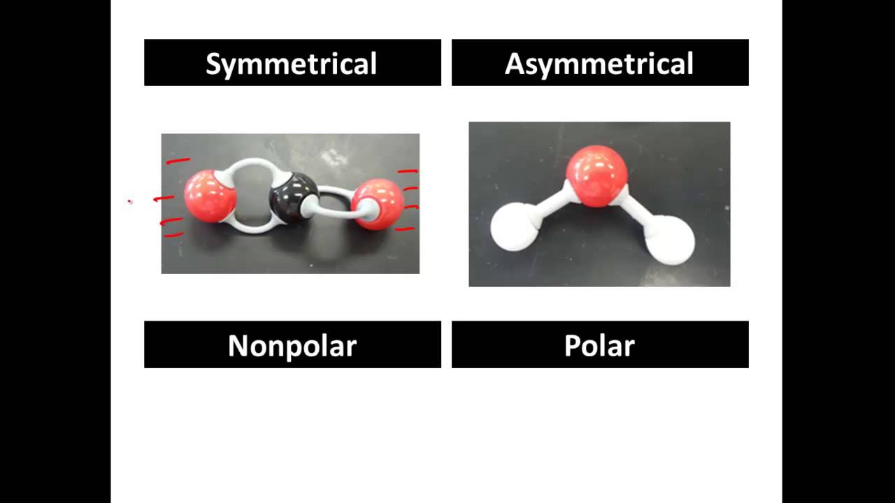 Polar Vs Nonpolar Molecules How To Tell Gce A Level Chemistry Youtube
