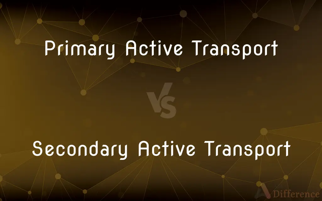 Primary vs Secondary Active Transport: Key Differences Explained