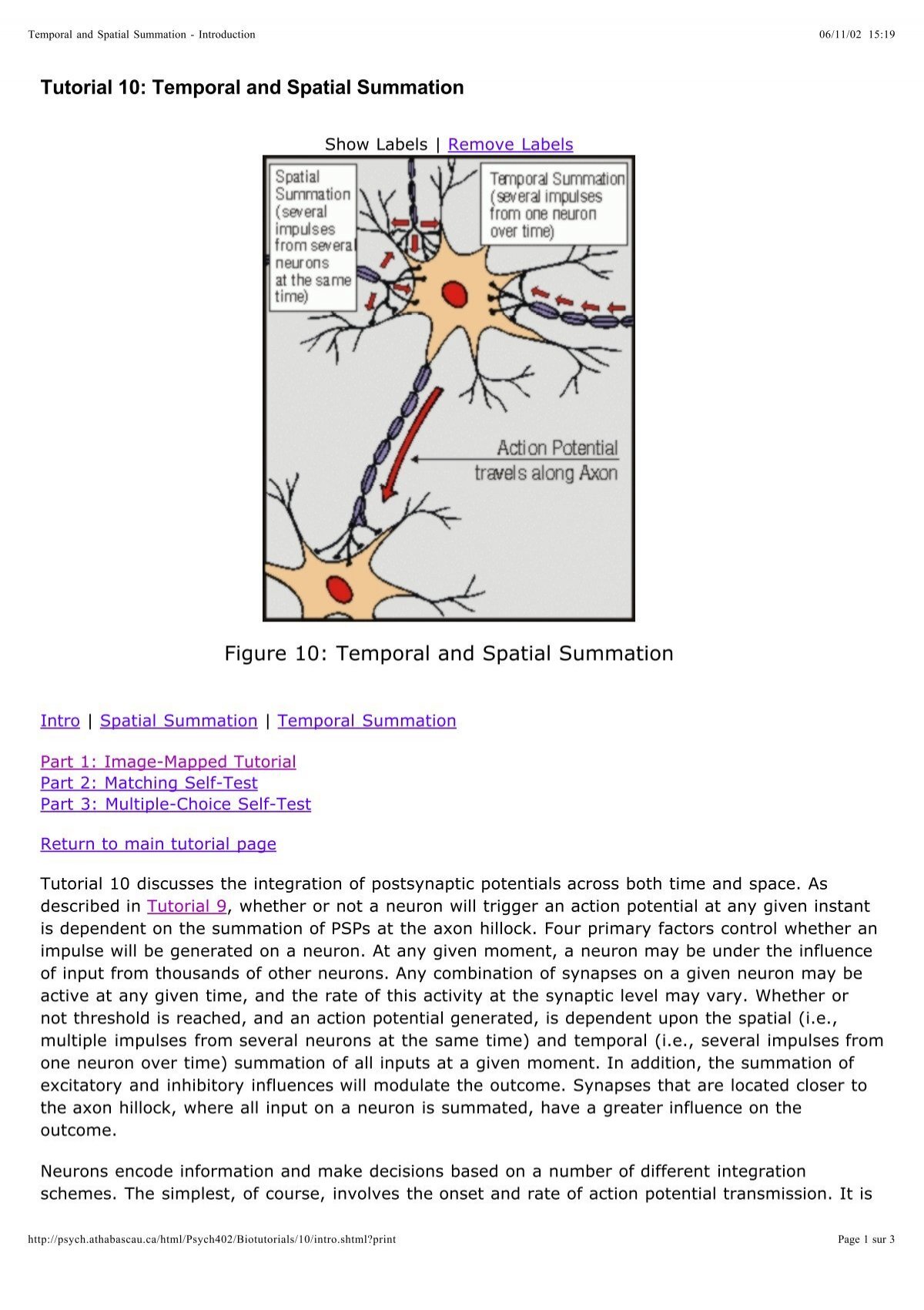 Tutorial 10 Temporal And Spatial Summation Figure 10 Temporal Tutorial 10 Temporal And Spatial Summation Figure 10 Temporal