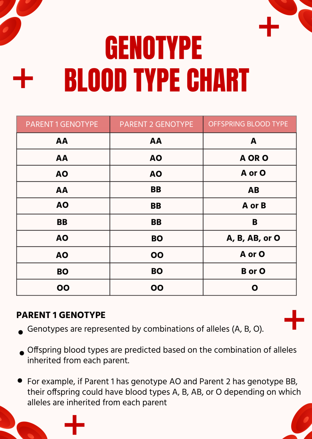Understanding Type B Blood Genotype: Key Facts Revealed