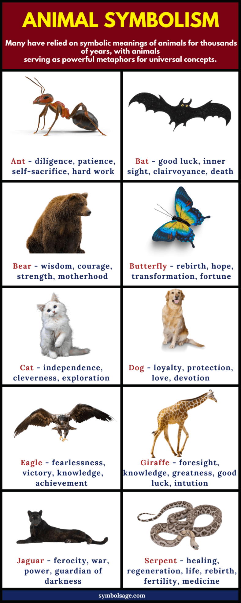 What Animal Symbolizes Life: Top Creatures Explained