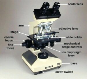 Understanding the Microscope Diaphragm: Function and Uses