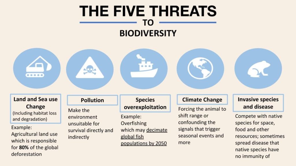 What Is Biodiversity And Why Is It Important For Ecosystem Health What Is Biodiversity And Why Is It Important For Ecosystem Health