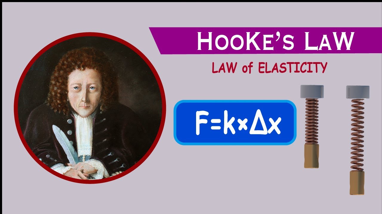 What Is Meant By Hooke S Law At Anthony Sears Blog What Is Meant By Hooke S Law At Anthony Sears Blog