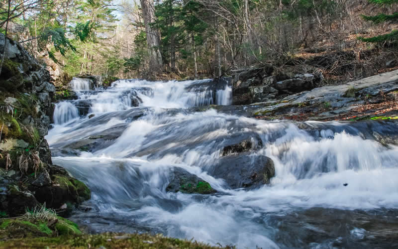 Why Water is a Renewable Resource: Key Facts Explained